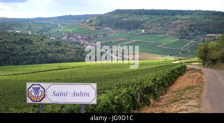 Saint-Aubin Burgunder Weinberge Landschaft mit Weinbau Boundary Road Sign im Vordergrund, Côte d'Or, Frankreich. Stockfoto