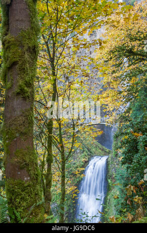 Portland Oregon Multnomah Falls im Herbst 2013 Stockfoto