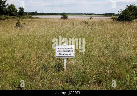 Snape Maltings Suffolk UK Juni 2017 - Snape Maltings ein Zentrum von Kunst, Musik und außergewöhnlicher natürlicher Schönheit Stockfoto