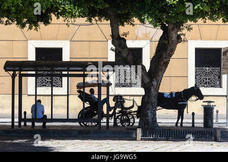 Pferd und Wagen ruht im Schatten auf den Corso Vittorio Emanuele zentrale Palermo, Sizilien, Italien. Stockfoto