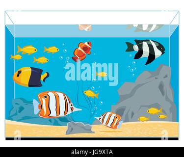 Vektor-Illustration von exotischen Fischen im aquarium Stock Vektor