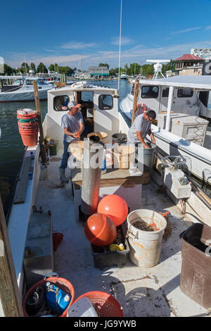 Tilghman Island, Maryland - Commerical Krabbe Fischer an der Chesapeake Bay Köder ihre Angelschnur mit Muscheln. Stockfoto