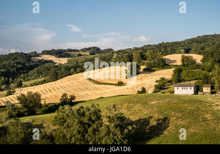 Kultivierten Hügeln in den nördlichen Apenninen. Monghidoro, Provinz Bologna, Emilia Romagna, Italien. Stockfoto