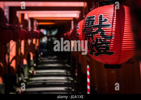 Rote Laterne hängen im Fushimi Inari-Torii-Tore in Kyoto, Japan Stockfoto