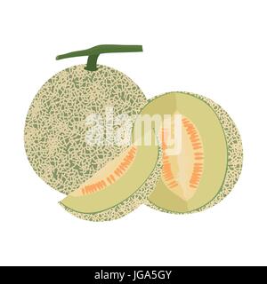 Cantaloupe-Melone Frucht Isolatled auf weißem Hintergrund Vektor-illustration Stock Vektor