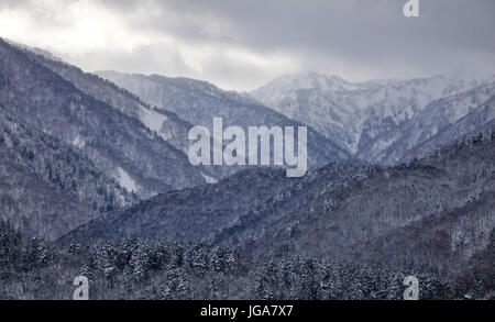 Berglandschaft mit Pinienwald unter Geheimnis Himmel im Winter. Stockfoto