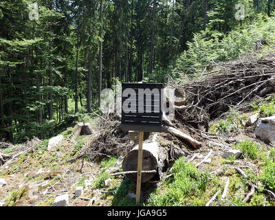Schwarzen Pheromon fängt Insekten, Wald-Erhaltung, Pheromon-Falle für Borkenkäfer Stockfoto