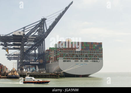 OOCL Hong Kong, der weltweit größte Containerschiff, das 21.413 zwanzig-Fuß-Container tragen kann und 1.311 Fuß lang ist, dockt in Felixstowe Endstation auf seiner Jungfernfahrt nach Europa vor der Rückkehr in den Fernen Osten als Bestandteil einer geschätzten 77 Tage hin-und Rückfahrt. Stockfoto