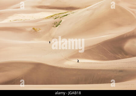 Besucher erkunden Great Sand Dunes National Park & vorbehalten; San Luis Valley; Colorado; USA; 44.246 Hektar & vorbehalten eine zusätzliche 41.686 Hektar Stockfoto