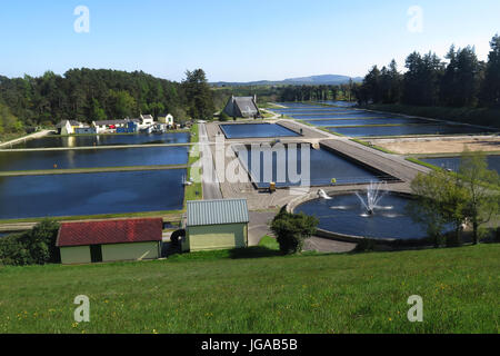 Vartry Reservoir, Irland, 2017 Stockfoto