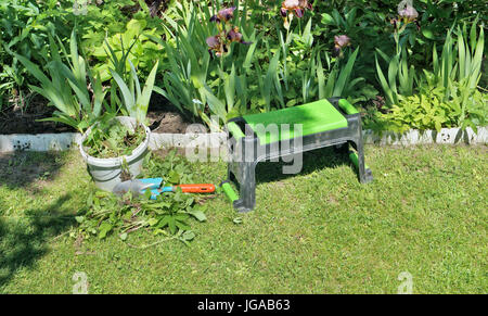 Auf dem grünen Rasen gibt es Tools zum Entfernen von Unkraut im Blumenbeet Sommer. Sonnigen Junitag im Garten Stockfoto