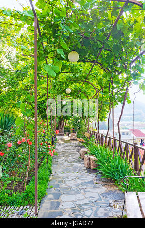 Der kleine Grünanlage in alten Kldisubani Nachbarschaft mit Scenicgrape Rebe Bogen, bunte Rosen und die Bänke auf dem schmalen Fußweg, Tbil Stockfoto