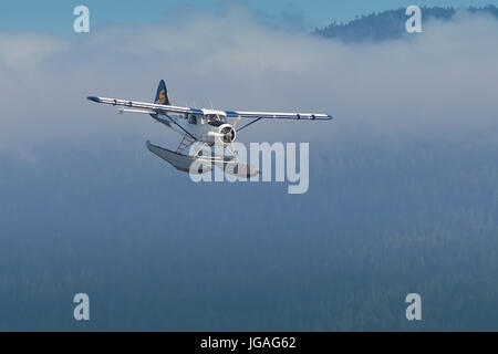 Ein Classic Harbour Air Wasserflugzeuge de Havilland DHC-2 Beaver In The Saltspring Air Livery fliegen über Remote Landschaft In British Columbia, Kanada. Stockfoto