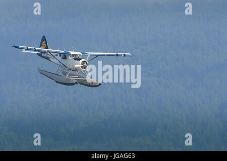 Ein Classic Harbour Air Wasserflugzeuge de Havilland DHC-2 Beaver In The Saltspring Air Insignia fliegen über Remote Woods In British Columbia, Kanada. Stockfoto