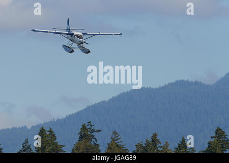 Harbour Air turbo Otter floatplane in die Vancouver Whitecaps FC insignia Fliegen über Remote Wälder in British Columbia, Kanada. Stockfoto