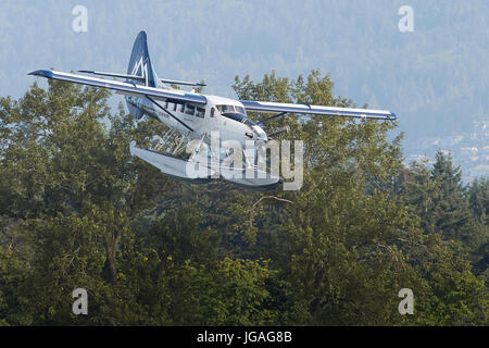 Harbour Air turbo Otter floatplane in die Vancouver Whitecaps FC insignia fliegen tief über die Bäume in British Columbia, Kanada. Stockfoto