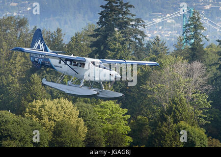 Harbour Air Turbo Otter Wasserflugzeug In die Vancouver Whitecaps FC Insignien vorbei die Lions Gate Bridge In Vancouver, British Columbia, Kanada. Stockfoto