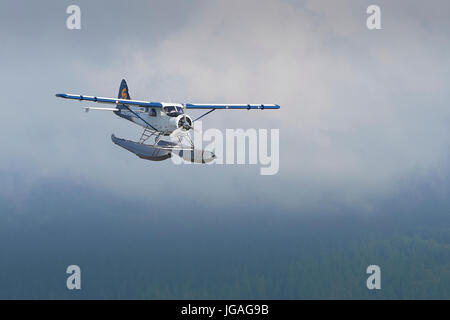 Ein Vintage Harbour Air Wasserflugzeuge de Havilland DHC-2 Beaver Flying Low über Forrest Woodlands In British Columbia, Kanada. Stockfoto