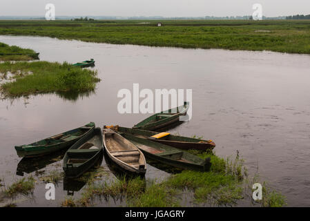 Narew Nationalpark Stockfoto