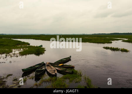 Narew Nationalpark Stockfoto