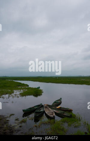 Narew Nationalpark Stockfoto