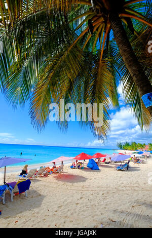 Bathsheba Bridgetown Barbados Southern Caribbean Cruise Celebrity cruise line Stockfoto