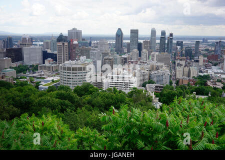 Montreal, Kanada, 4 July,2017.View der Innenstadt von Montreal vom Aussichtspunkt am Mount Royal Park. Kredit: Mario Beauregard/Alamy Live-Nachrichten Stockfoto