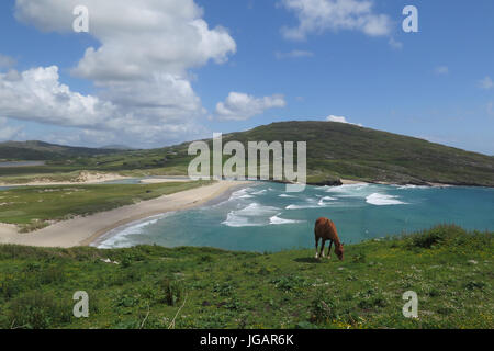 Barleycove Strand, (Schull), Irland, IE Stockfoto