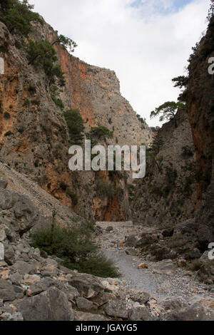 Aradena-Schlucht ist eine tiefe Kalkstein-Schlucht läuft aus der Lefka Ori oder weißen Berge bis in den Süden Kretas. Heutzutage ist es eine beliebte Wanderung Stockfoto