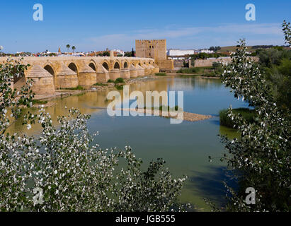 Cordoba, Provinz Córdoba, Andalusien, Südspanien.   Die römische Brücke, überqueren den Fluss Guadalquivir und führt zu der Calahorra Turm.  Die brid Stockfoto