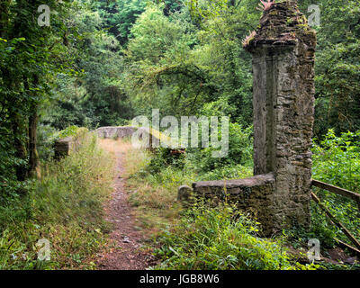 Antike römische Brücke bei Fornoli in Lunigiana, Italien. Auf der Via Francigena. Stockfoto