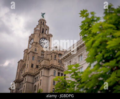 Das Royal Liver Building, Pier Head, Liverpool, Großbritannien Stockfoto