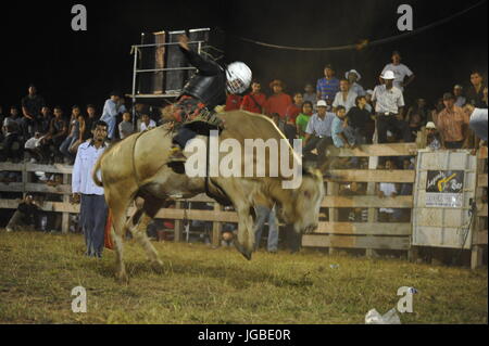 Ein Bull-Fahrer gleicht sich auf einem Stier während des Bull-Festivals in Nicoya, Costa Rica Stockfoto