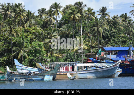 Ashtamudi See in Kerala Stockfoto