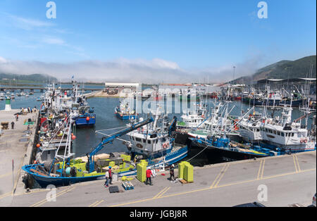 Fischer bei der Arbeit mit Fischerboot im Hafen von Santoña, Kantabrien, Spanien Stockfoto