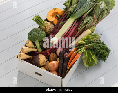 Eine Auswahl an Gemüse in einer Box auf einem grauen Woodend Hintergrund Stockfoto