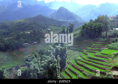 Die atemberaubende Landschaft von Sa Pa im Nordwesten Vietnam. Sapa ist bekannt für seine schönen Reis Terrasse und Heimat für mehrere Gruppen von Minderheiten in Vietnam. Stockfoto