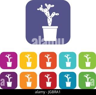 Opuntia Icons set flach Stock Vektor