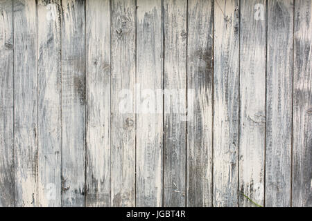 Teil des weißen Holzwand in einem Garten Stockfoto