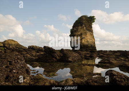 Ebbe-Riff in Sumba, Indonesien Stockfoto