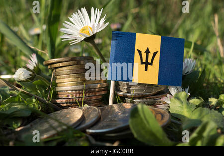 Barbados-Flagge mit Stapel von Geld Münzen mit Rasen und Blumen Stockfoto