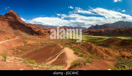 Die Straße von Cachi nach San Antonio de los Cobres, in Puna Region Salta im Norden Argentiniens Stockfoto