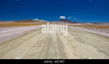 Atacama Wüste, chile Stockfoto