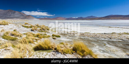 Salar de Aguas Calientes, Atacama, Chile Stockfoto