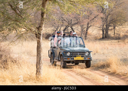 Ranthambhore Tiger Reserve, Rajasthan, Indien Stockfoto