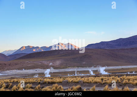 El Tatio Geysir, Atacama-Wüste, Chile, Südamerika Stockfoto