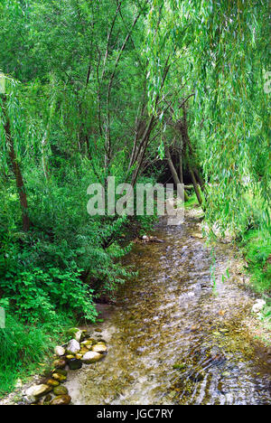 Slowenien, Soca-Tal, Volarje Dorf. Einen Nebenfluss Strom des Flusses Soca. Slowenien ist reich an Quellen. Stockfoto