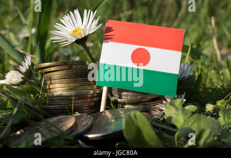 Niger Fahne mit Stapel von Geld Münzen mit Rasen und Blumen Stockfoto