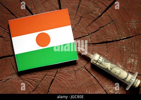 Niger Flagge auf einem Baumstumpf mit Spritze Einspritzen Geld in Flagge Stockfoto