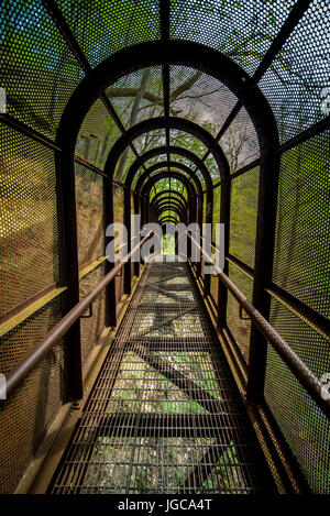 Verlassene gewölbte Gusseisen Gehweg durch Baumkronen in einem Wald in Philadelphia Nationalpark in einer rückläufigen Ansicht durch das Grün durch betrachtet die Stockfoto